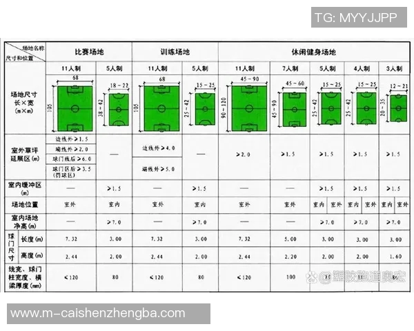 中国专业足球场建设现状与未来发展趋势分析